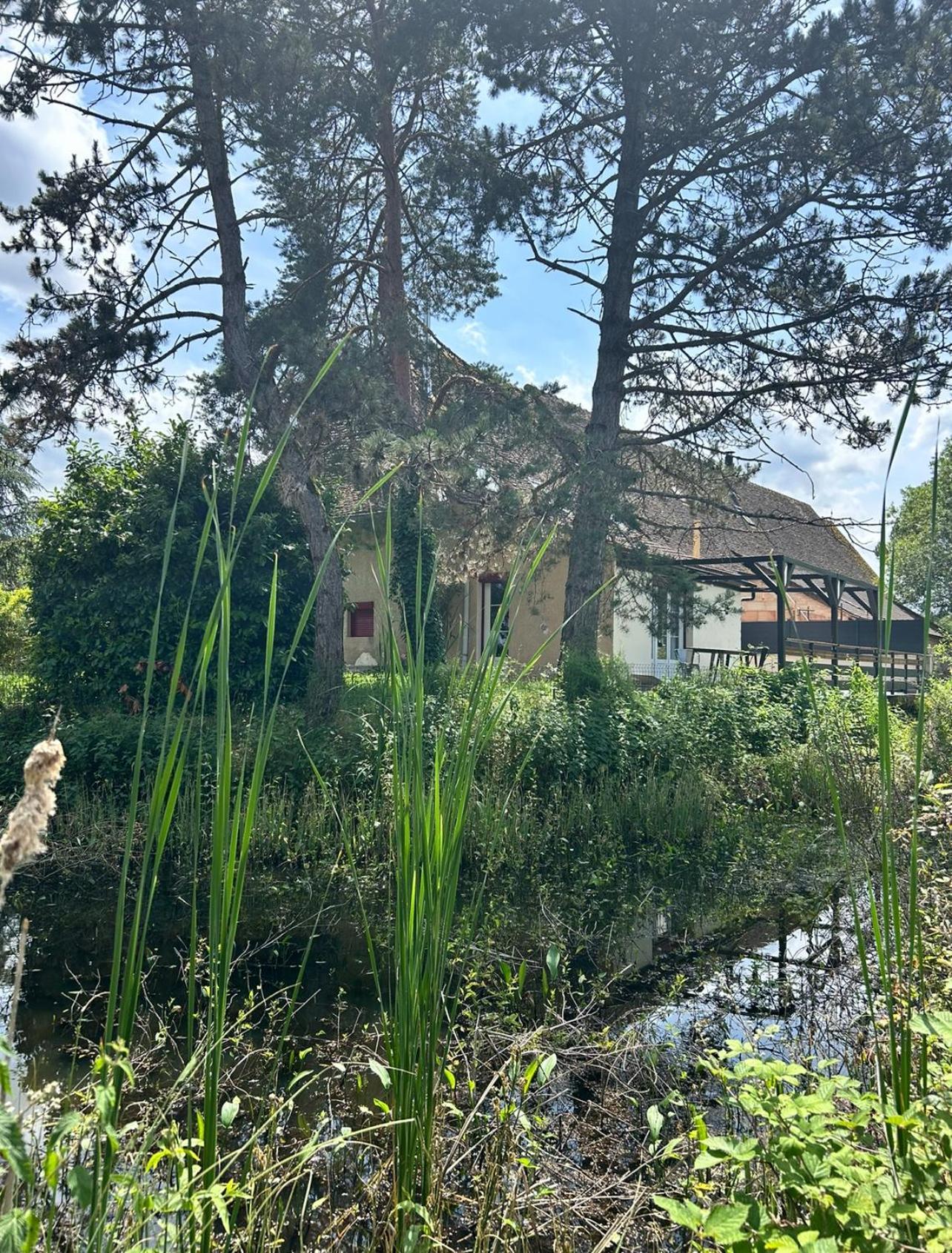 Le Gite Du Chateau Mouton Chatenoy-le-Royal Bagian luar foto